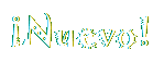nuevo
